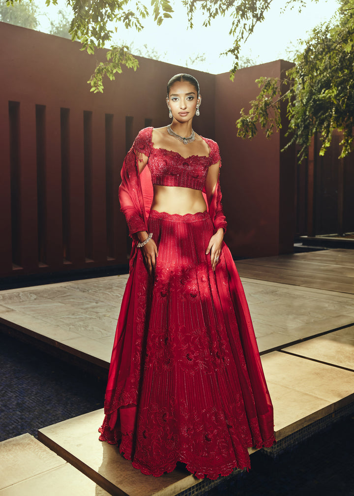 Kumuda Red Heavy Lehanga Set With Intricated Hand Embroidery