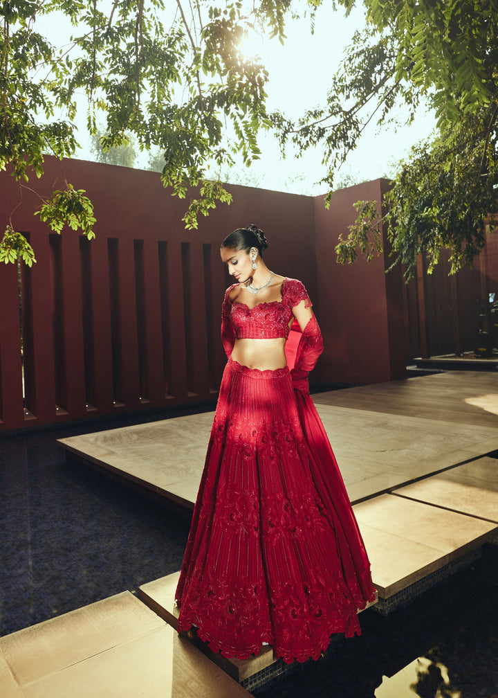 Kumuda Red Heavy Lehanga Set With Intricated Hand Embroidery
