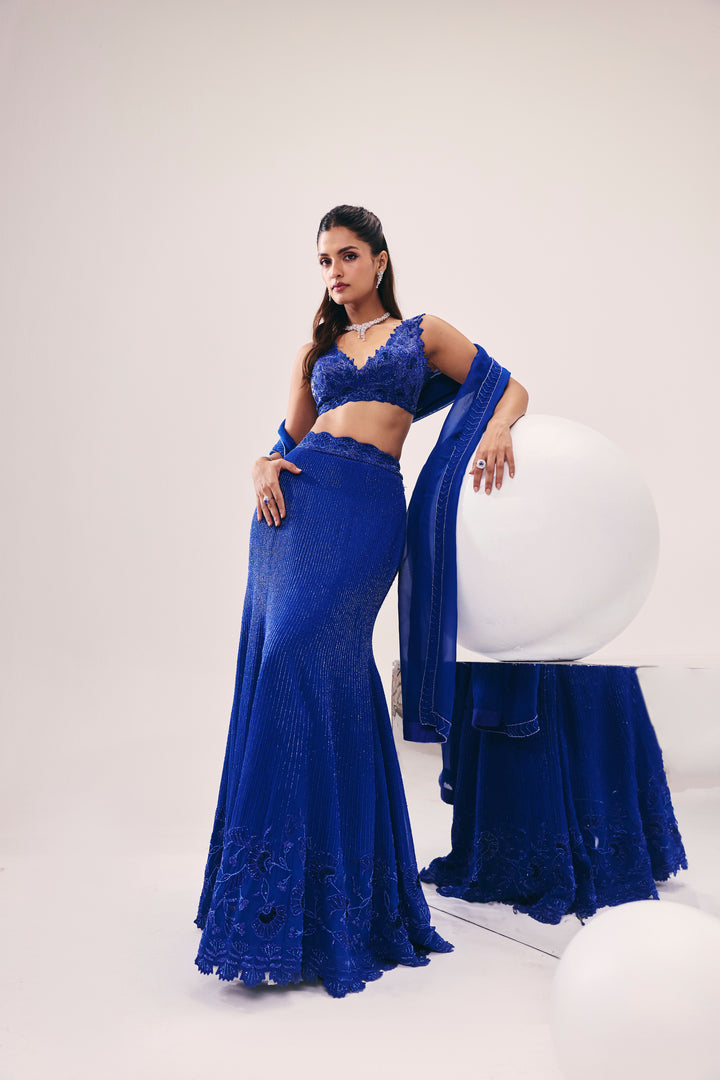 Vasudha Blue Fish Cut Lehenga Set