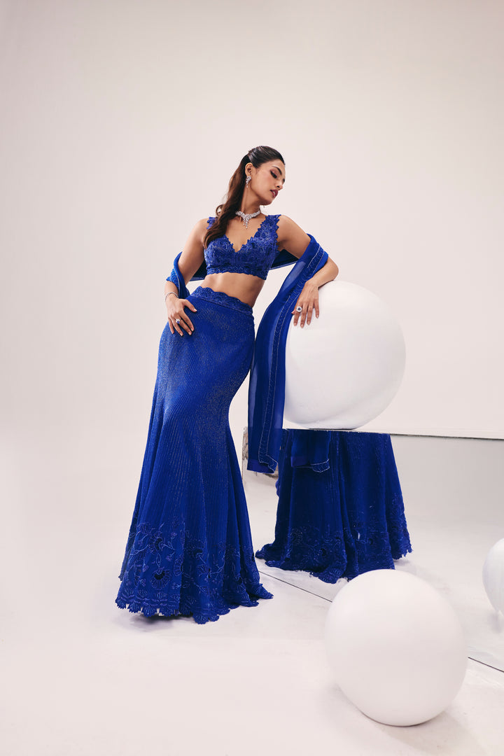 Vasudha Blue Fish Cut Lehenga Set