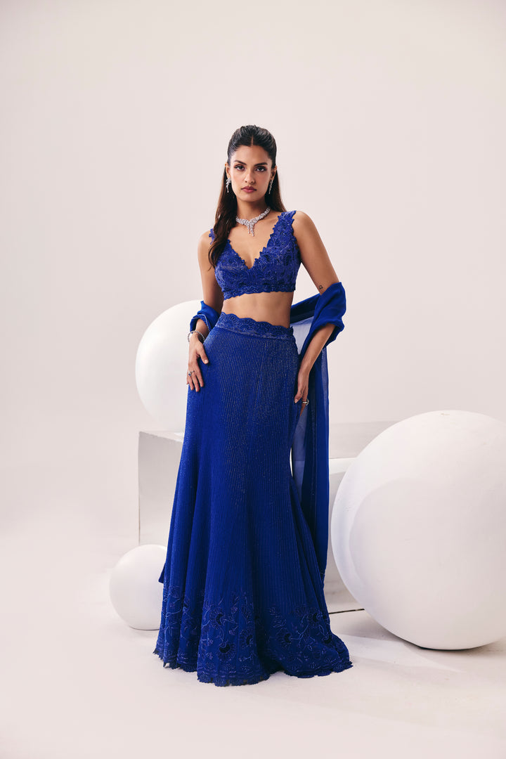 Vasudha Blue Fish Cut Lehenga Set