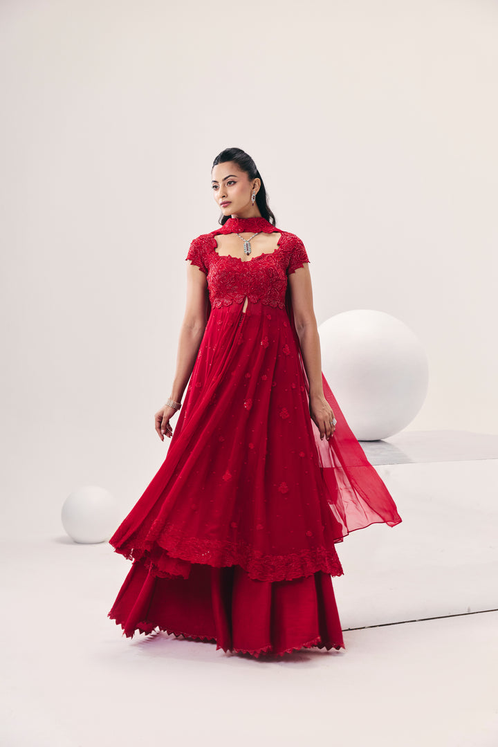 Vasudha Red Overlay Set