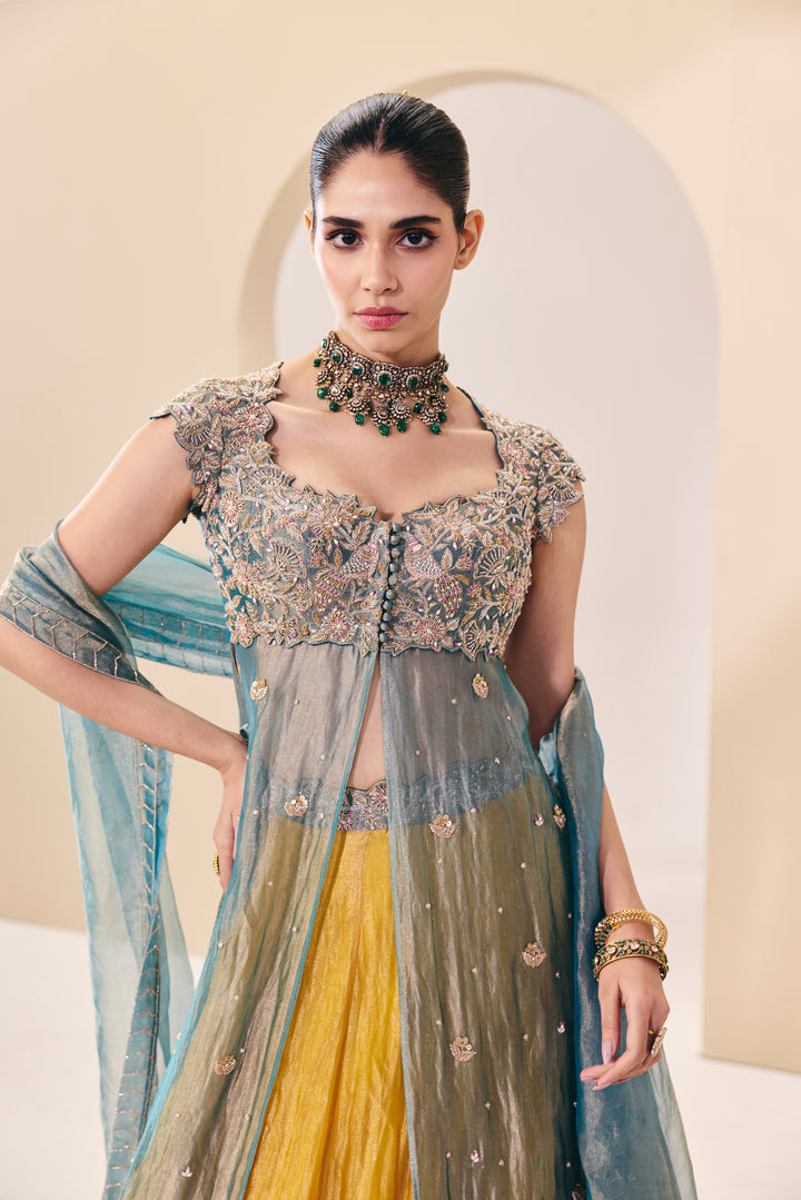 Tarini Blue Yellow Over Lay Set