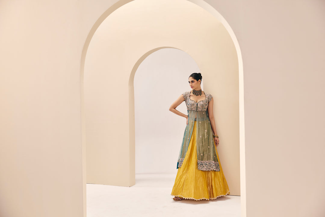 Tarini Blue Yellow Over Lay Set