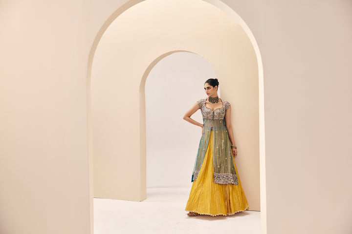 Tarini Blue Yellow Over Lay Set
