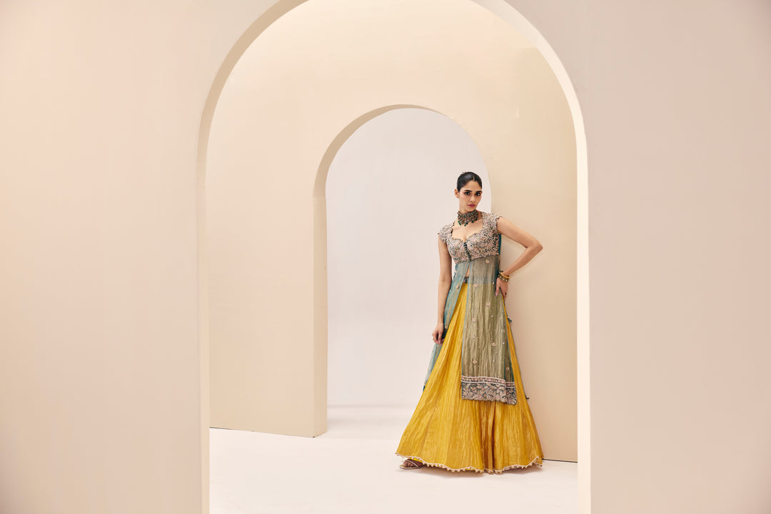 Tarini Blue Yellow Over Lay Set