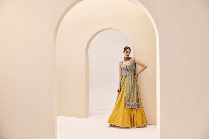 Tarini Blue Yellow Over Lay Set
