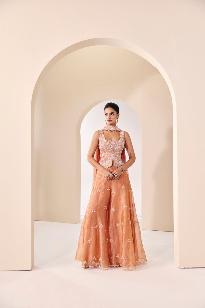 Tarini Peplum Pant Set