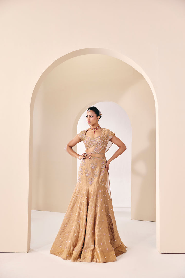 Tarini Champain Fish Cut Lehenga Set