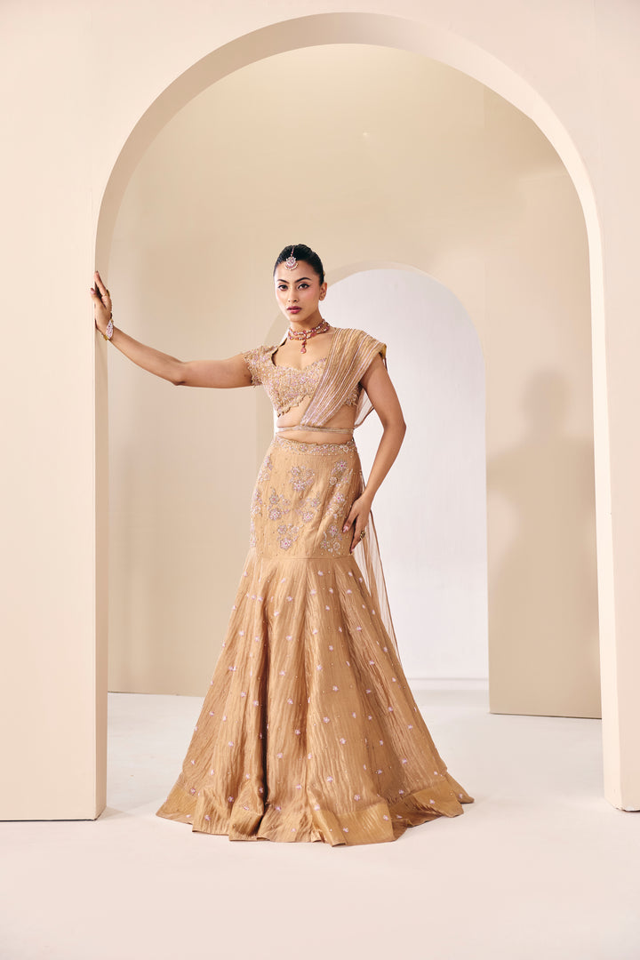 Tarini Champain Fish Cut Lehenga Set