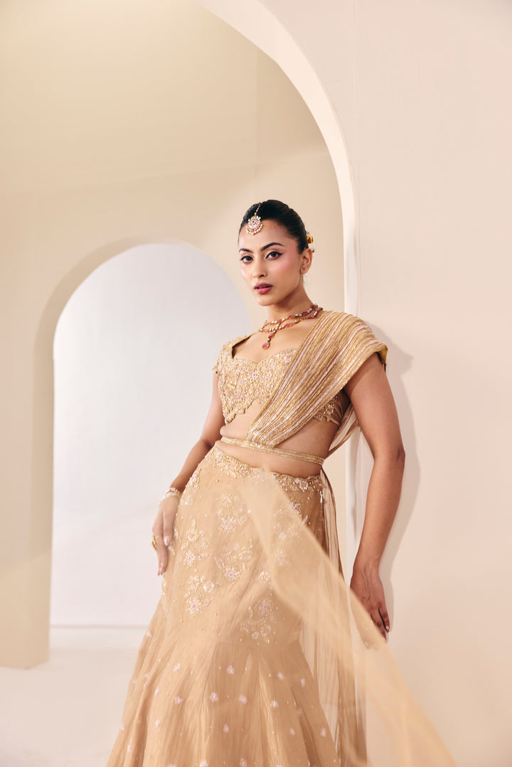 Tarini Champain Fish Cut Lehenga Set