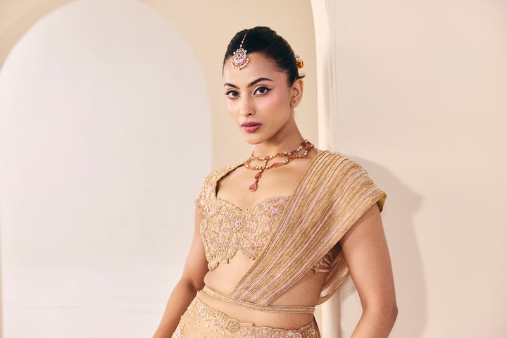 Tarini Champain Fish Cut Lehenga Set