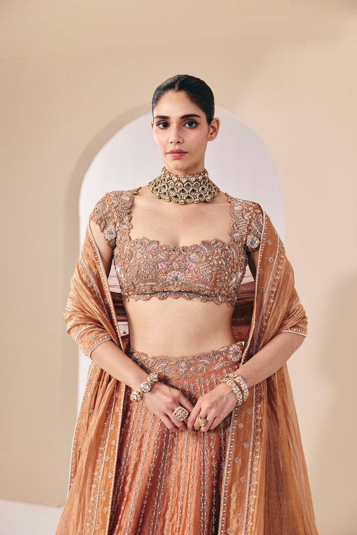 Tarini Rose Gold Lehenga Set